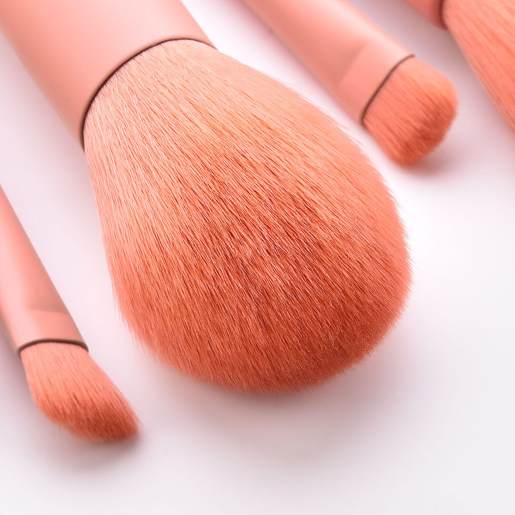 10pcs makeup brushes